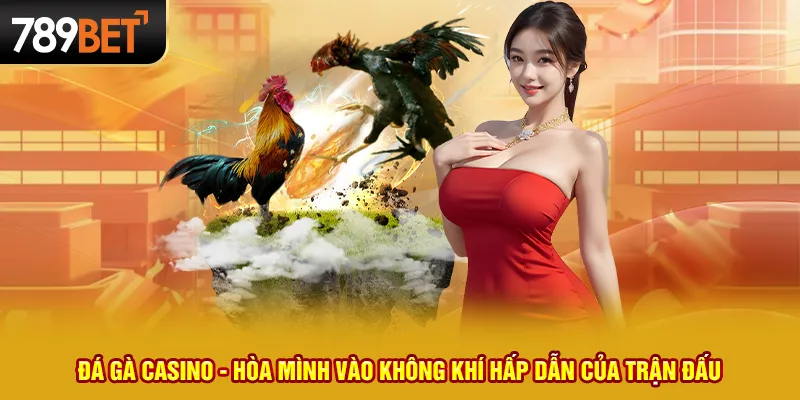 Đá gà casino