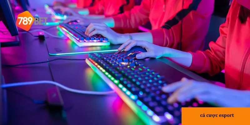 3 bước để tham gia cá cược esport tại 789bet