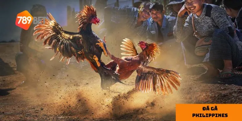 Nắm bắt thông tin giúp bạn đưa ra quyết định đúng đắn hơn.