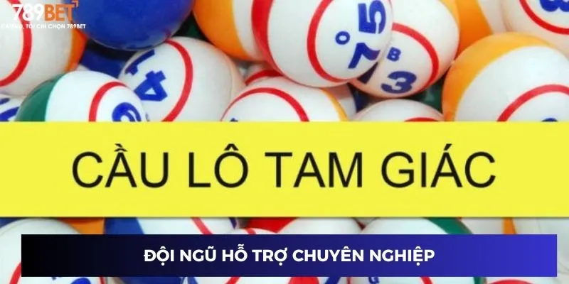 Đội ngũ hỗ trợ chuyên nghiệp 