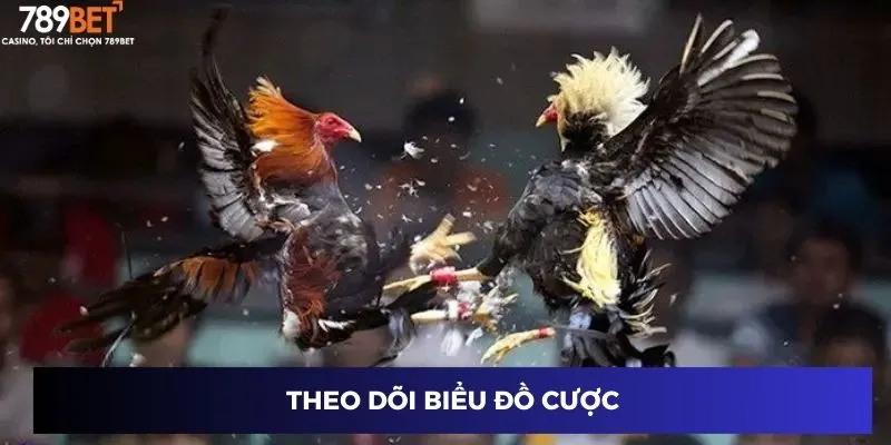 Theo dõi biểu đồ cược