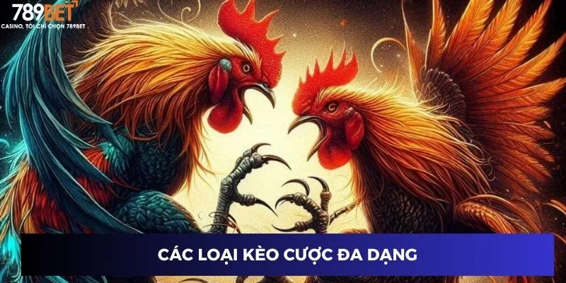 Các loại kèo cược đa dạng