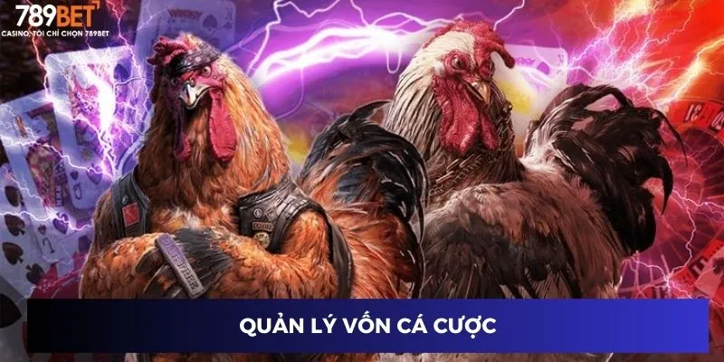 Quản lý vốn cá cược