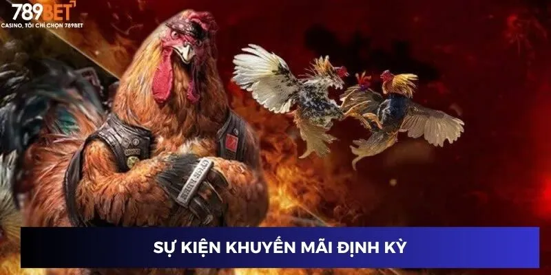 Sự kiện khuyến mãi định kỳ